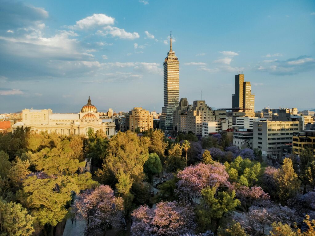 ¿Dónde se esconden los “árboles ancianos” de la CDMX?