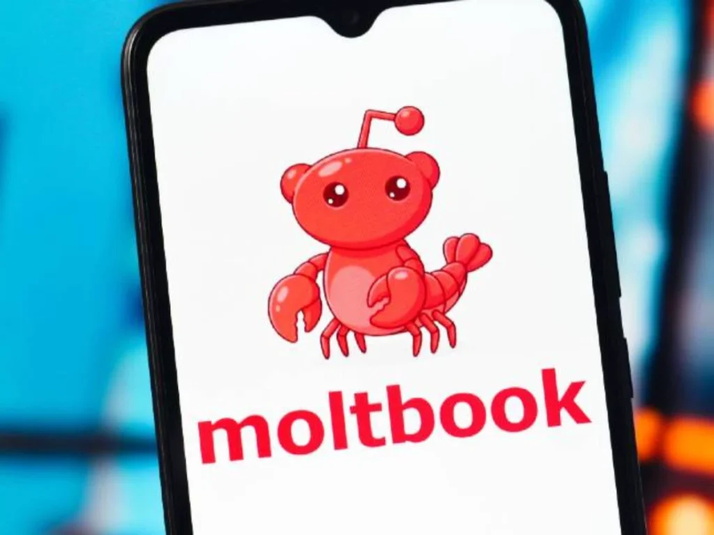 Moltbook: la red social donde las inteligencias artificiales hablan entre sí